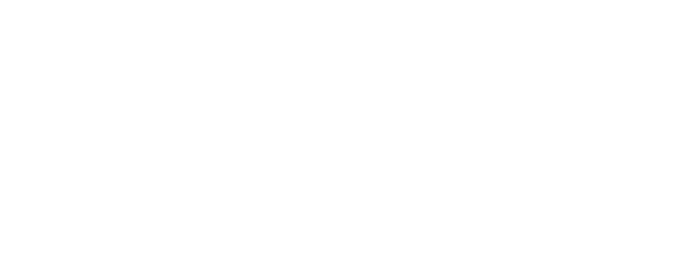 INTERREG – DANUBE TRANSNATIONAL PROGRAMME - TALENT MAGNET